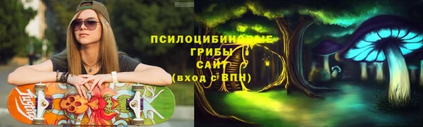 прущие грибы Осташков