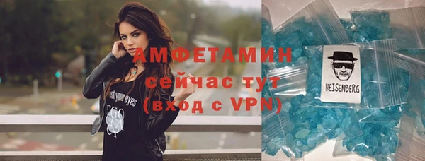 индика Нягань