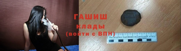 индика Нягань