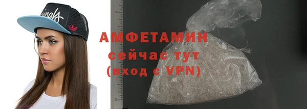 индика Нягань