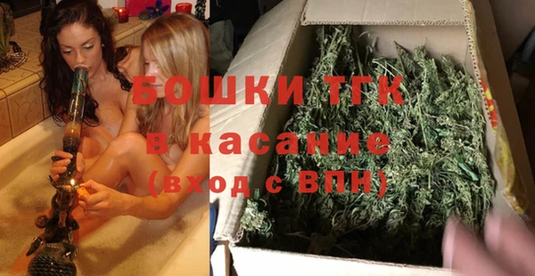 прущие грибы Осташков