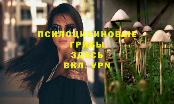 сатива Осинники