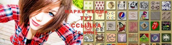 прущие грибы Осташков