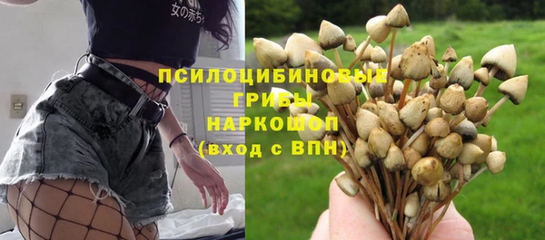 таблы Няндома