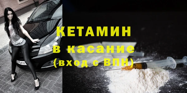 сатива Осинники