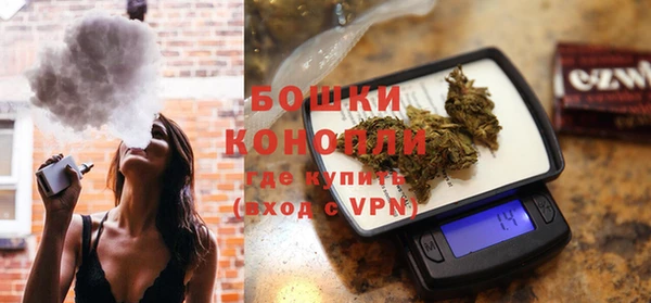 сатива Осинники