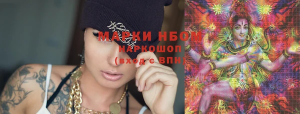 индика Нягань