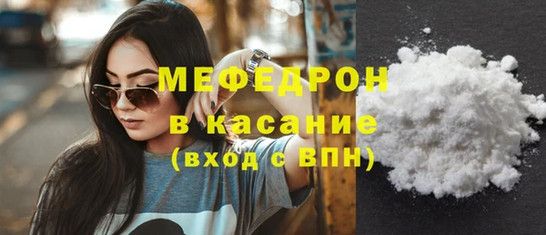 индика Нягань