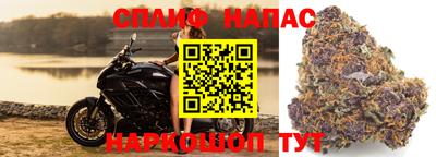 Альфа ПВП Малоярославец
