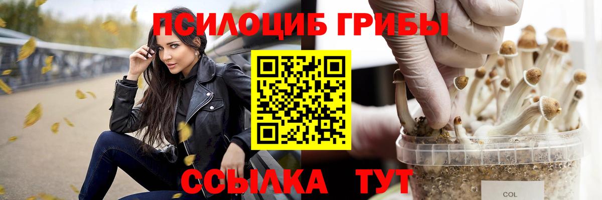 Тула  Галлюциногенные грибы Cubensis  Вход с VPN 